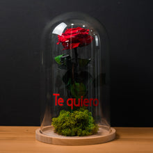 Cargar imagen en el visor de la galería, CÚPULA ROSA ETERNA BIG LED