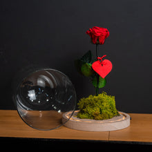 Cargar imagen en el visor de la galería, CÚPULA ROSA ETERNA BIG LED