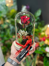 Cargar imagen en el visor de la galería, CÚPULA ROSA ETERNA MID