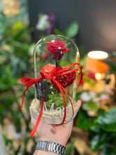 Cargar imagen en el visor de la galería, CÚPULA ROSA ETERNA MID