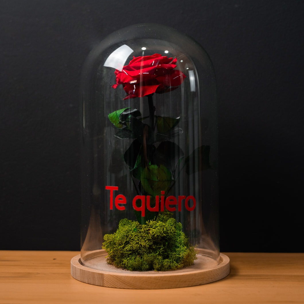 CÚPULA ROSA ETERNA BIG LED